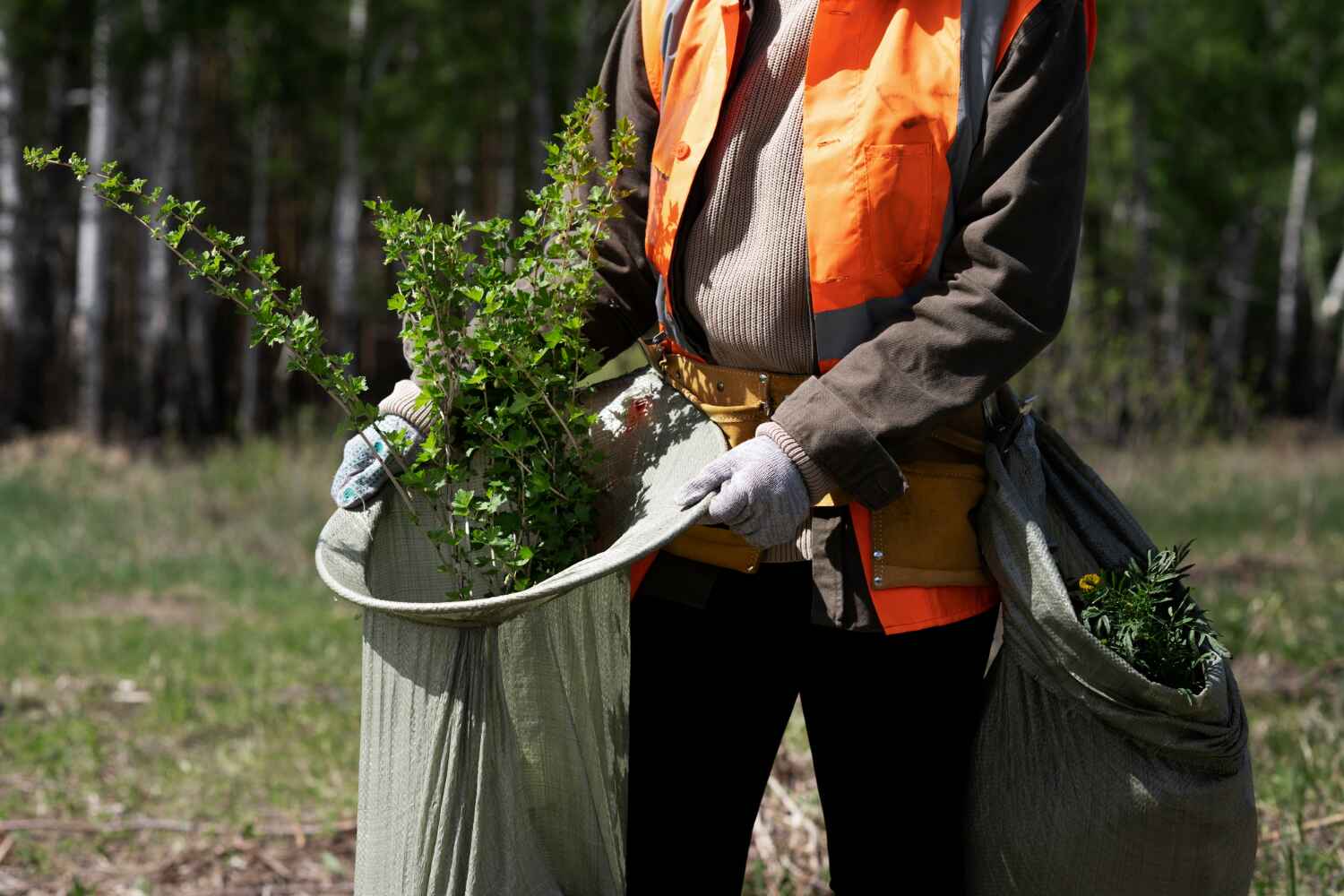 Alvord, TX Tree Service Company